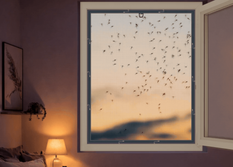 Tinkleliai rėmeliai